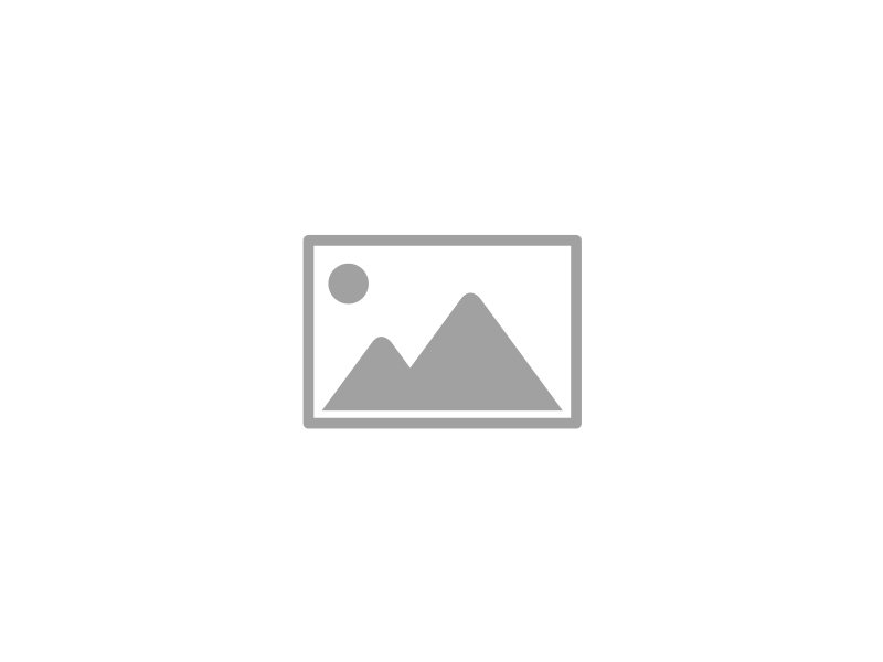 Department Of Public Works