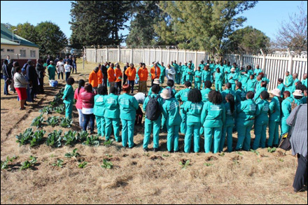 Youth-Environmental-Service-Programme-2016_13