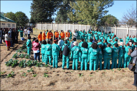 Youth-Environmental-Service-Programme-2016_14