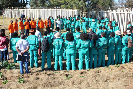 Youth-Environmental-Service-Programme-2016_17