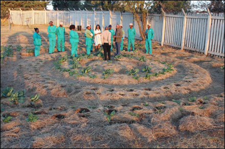Youth-Environmental-Service-Programme-2016_2