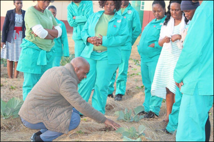 Youth-Environmental-Service-Programme-2016_3