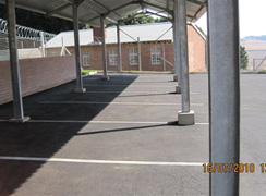 cedara_10